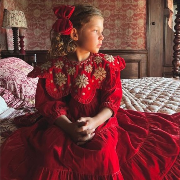 bonjour diary | Dresses | Bonjour Diary Velvet Holiday Dress Brand 